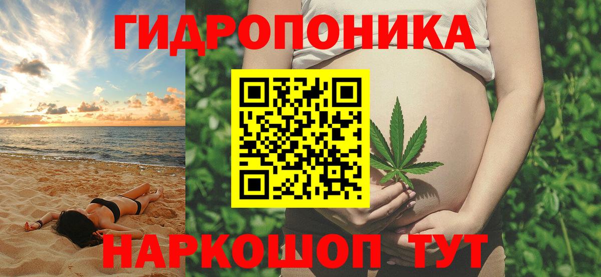 Королёв  Бошки марихуана гибрид  Вход с VPN  Бошки марихуана OG Kush 